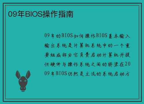 09年BIOS操作指南